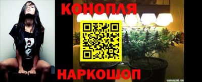 дмт Бузулук