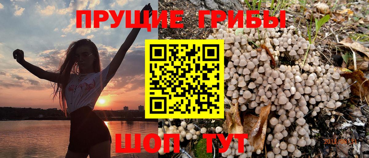 Псилоцибиновые грибы мухоморы  Вход с VPN  Североуральск 